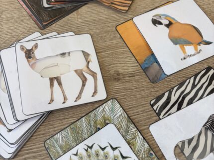 Loomad ja nende mustrid